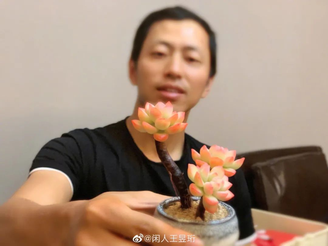 最强大脑王昱珩清华毕业后不上班,王昱珩上学经历