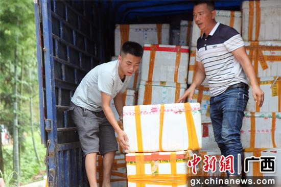 广西农村青年脱贫致富,90后回乡创业带动百姓脱贫致富