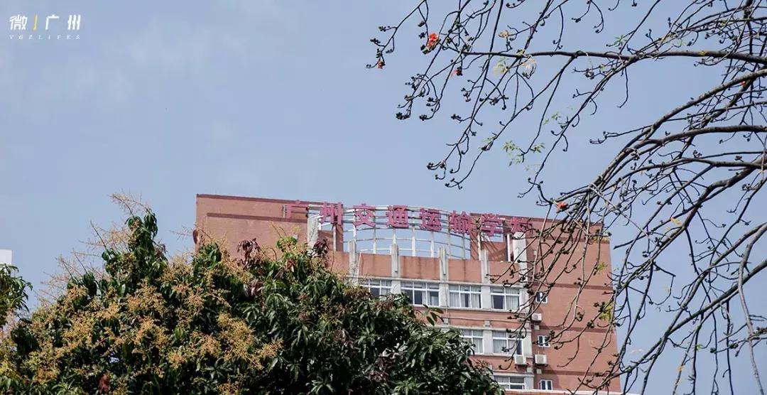 嘉禾望岗有便宜的房子租吗,嘉禾望岗租房可以吗