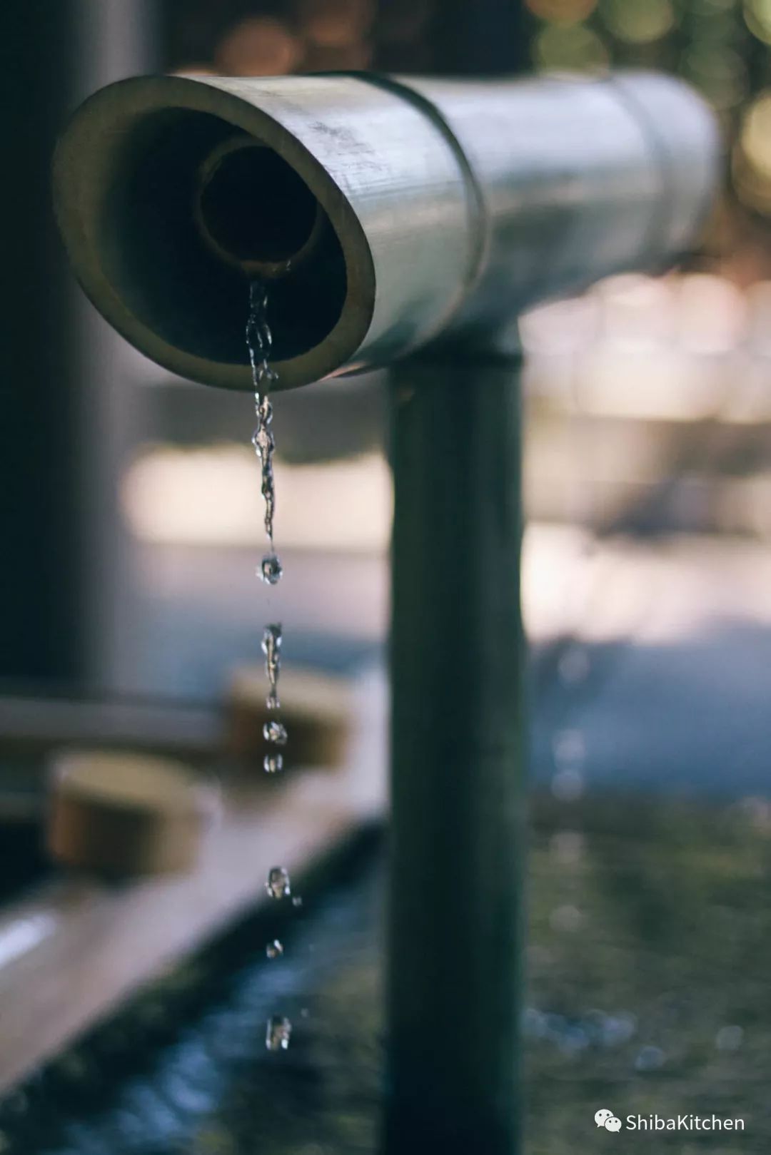 表参道和代官山的距离,表参道代官山店几点开门