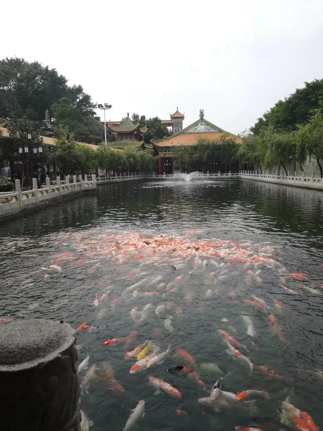 番禺南站旅游攻略,广州3号线地铁番禺旅游攻略