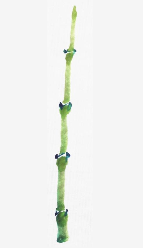 粗竹配细竹的画法,写意绿竹的画法