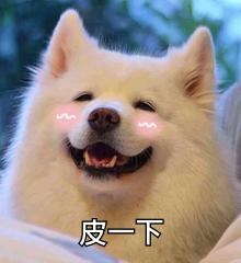 心电图的st向量怎么看,心电图中的sv1代表什么