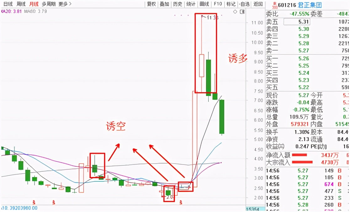 君正集团为什么能成妖股,股民总结股市暴跌原因