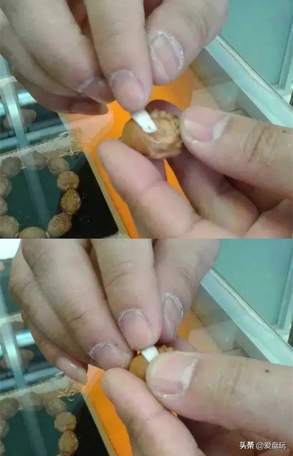 橄榄核雕如何开裂得快点图片,橄榄核雕如何开裂得快一点图片