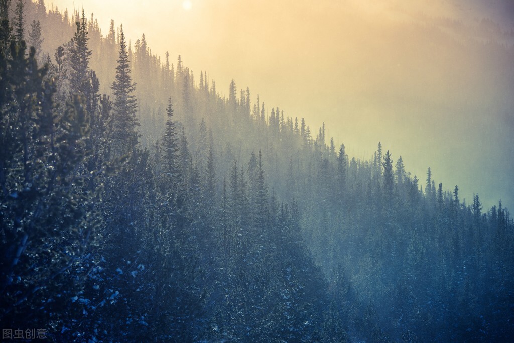 苹果和它搭配煮水，让这个秋冬不干燥，还润五脏之阴