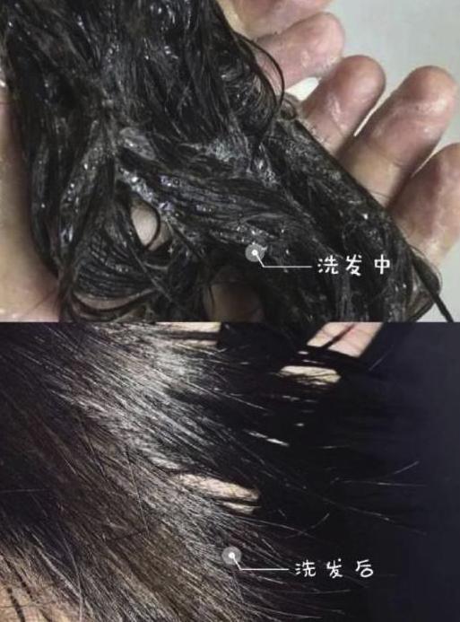 戚薇袁咏仪推荐的洗发水,袁咏仪同款洗发水