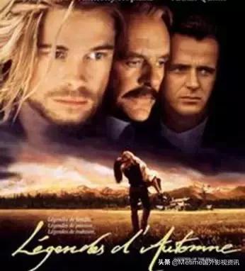 1994年美国电影肖申克的救赎,肖申克的救赎同年的奥斯卡奖