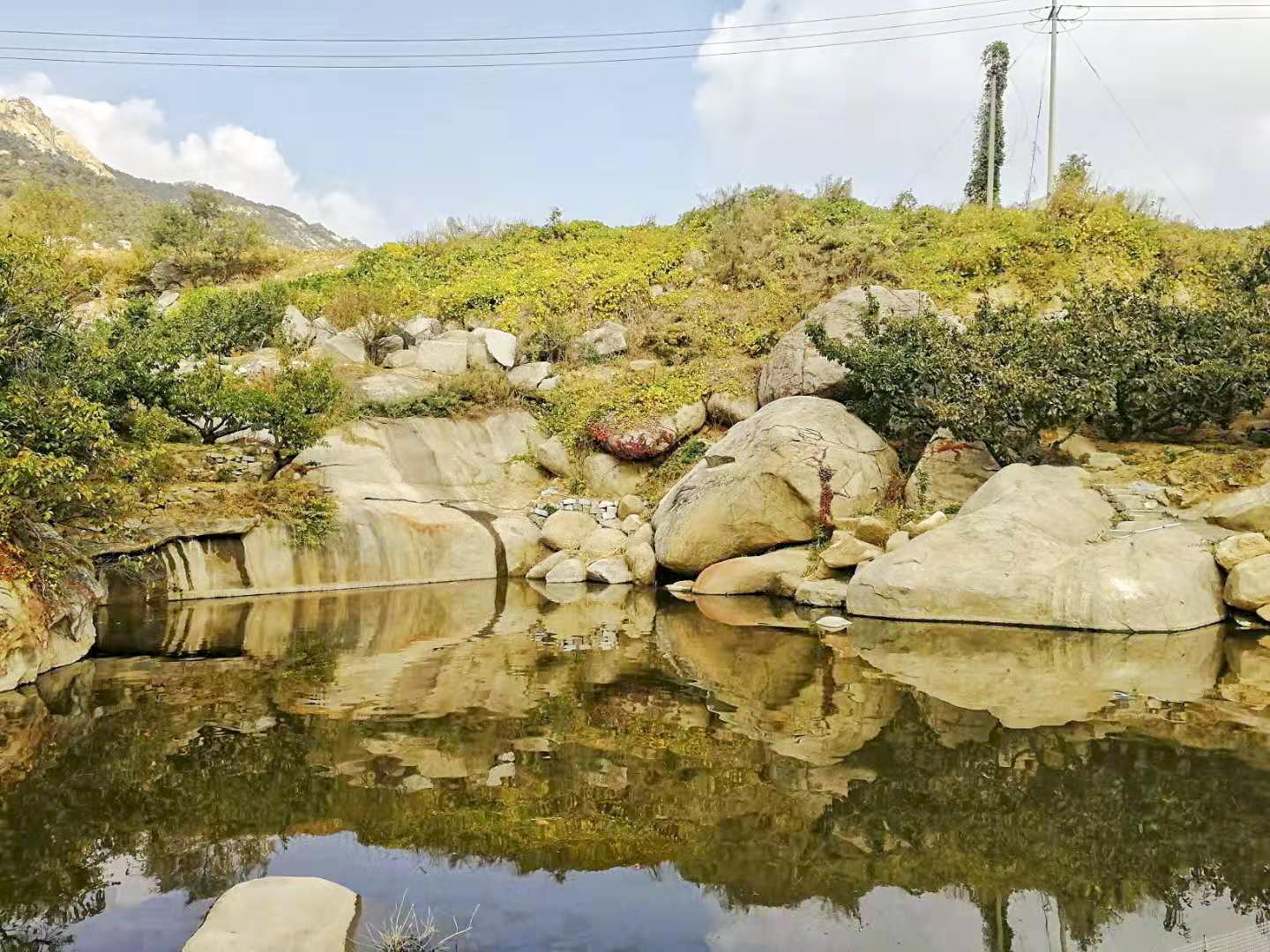 乡村振兴看沂蒙,打造乡村振兴齐鲁样板威海篇