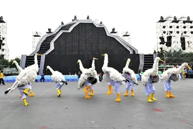 23号湿地嘉年华,湿地公园大庆嘉年华