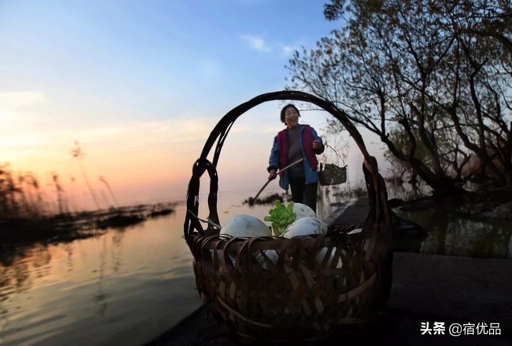 32张美景图片,苏州东山西山风景区哪个更值得去