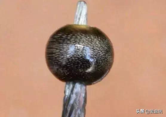 这九种文玩千万别玩,这四种文玩永不过时盘出来还好看