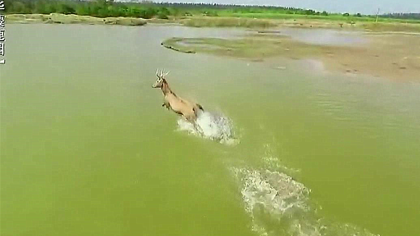 盐城是个美丽的地方,有一种幸福叫东台