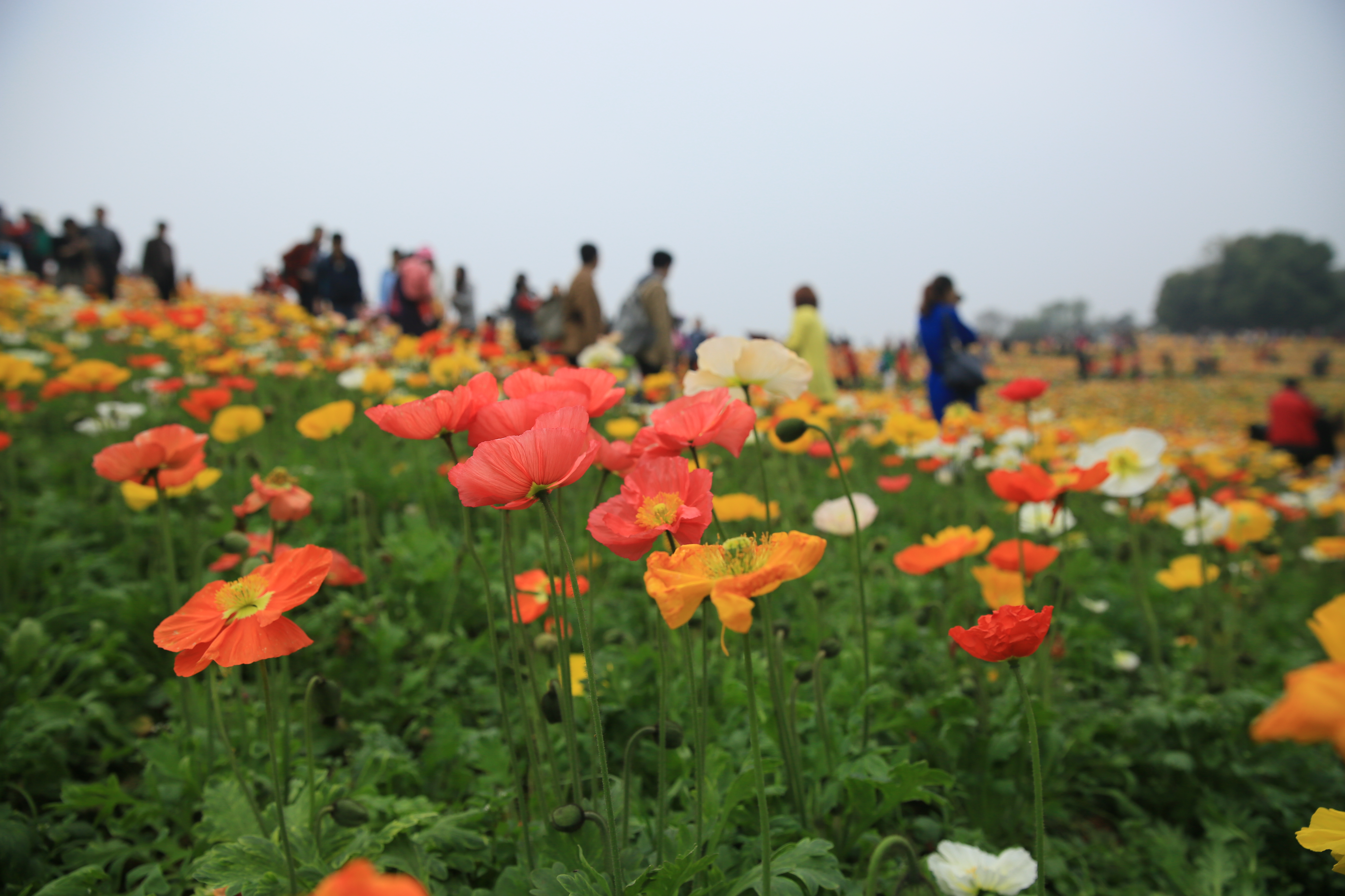 钂叉睙鐭宠薄婀栧ソ鐜╀笉,钂叉睙鐭宠薄婀栧ソ鑰嶅悧