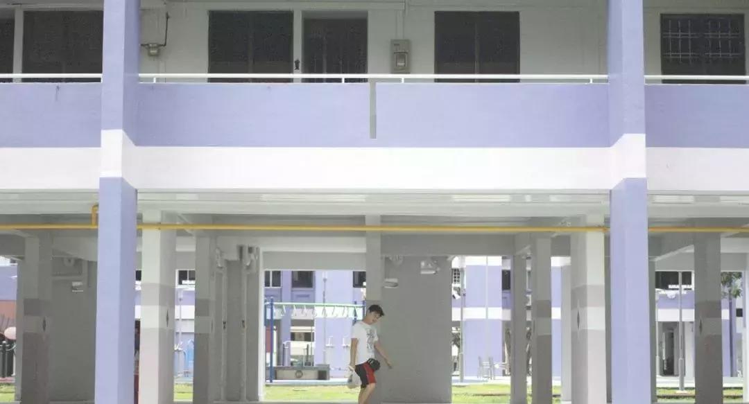 新加坡人口密度大却不拥挤,新加坡和香港哪个人口密度大