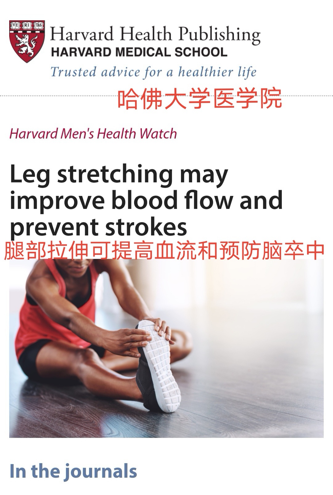 哈佛大学关于脑梗的研究,现代医学对脑梗的治疗