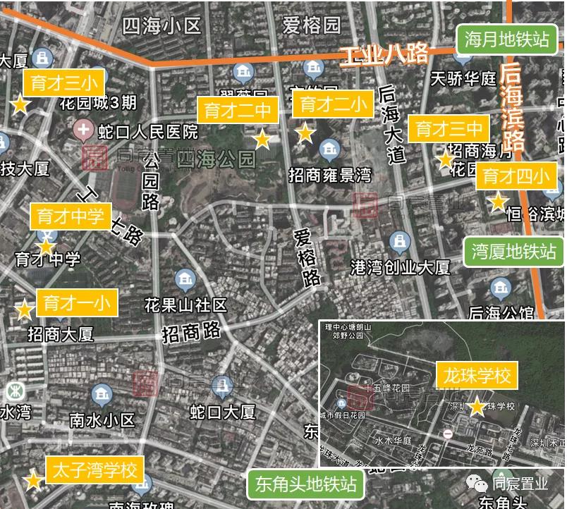 深圳南山名校,深圳蛇口育才教育学校