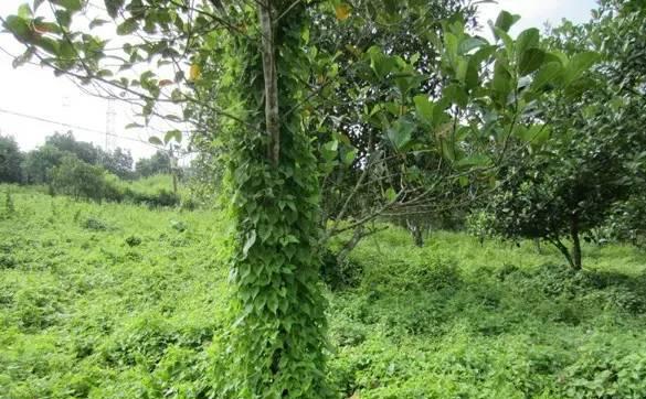 全民国家安全教育日保护公众健康,4.15全民国家安全教育日主题宣传