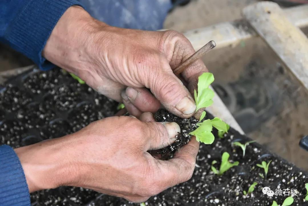 石楼丁喜辉:90后“草根”的创业致富路