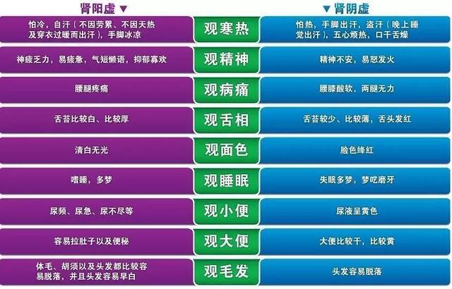 男人肾虚该怎样食疗补肾效果好,男人肾虚应该多吃什么补肾效果好