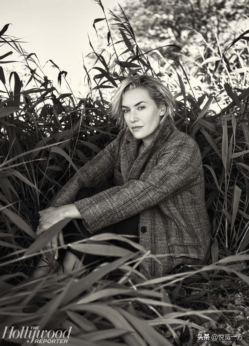 凯特温斯莱特巅峰照,凯特温丝莱特奥斯卡