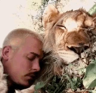 放弃百万年薪，去非洲撸猫？长腿版小李子引63w人舔屏：看我看我