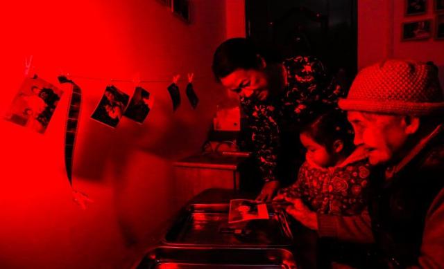 现实中拍摄到的翼龙,一百年前翼龙照片