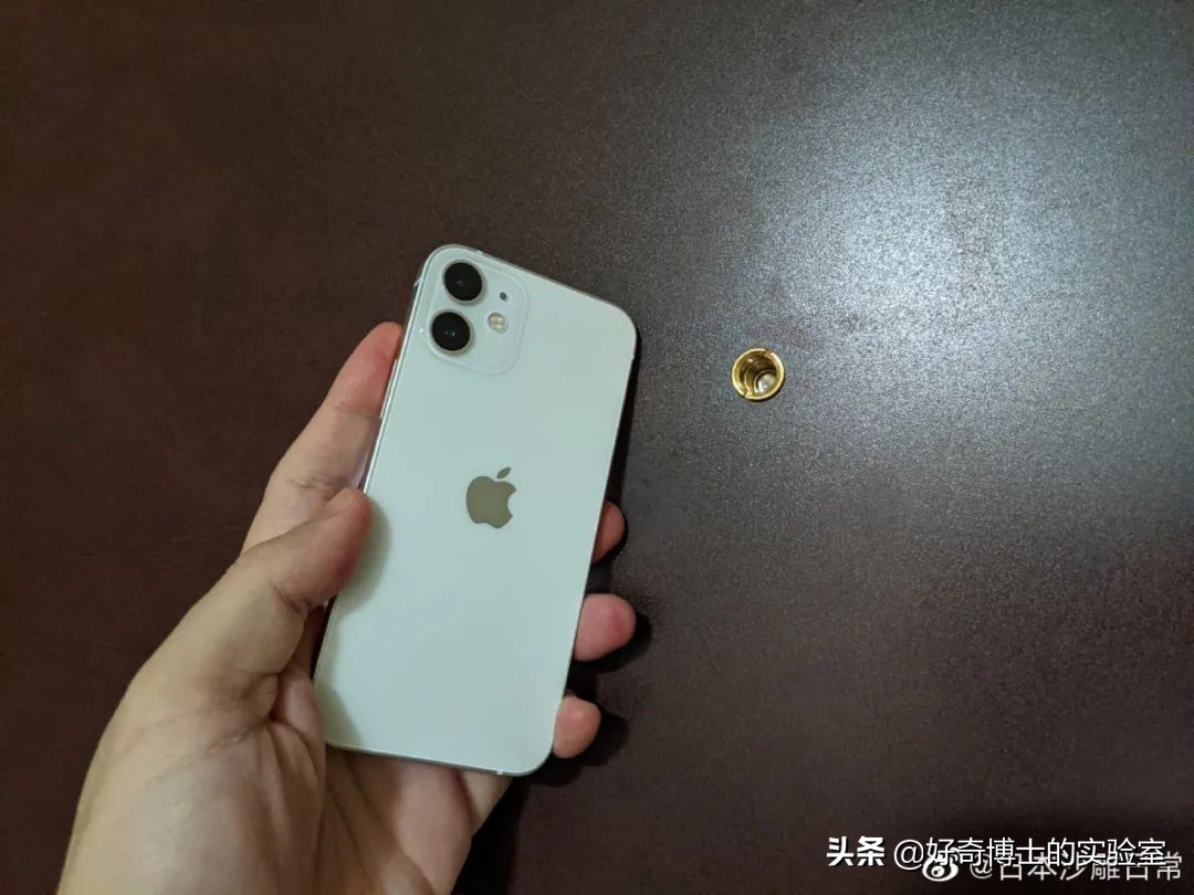 撸过猫撸过狗但你撸过“鱼”吗?