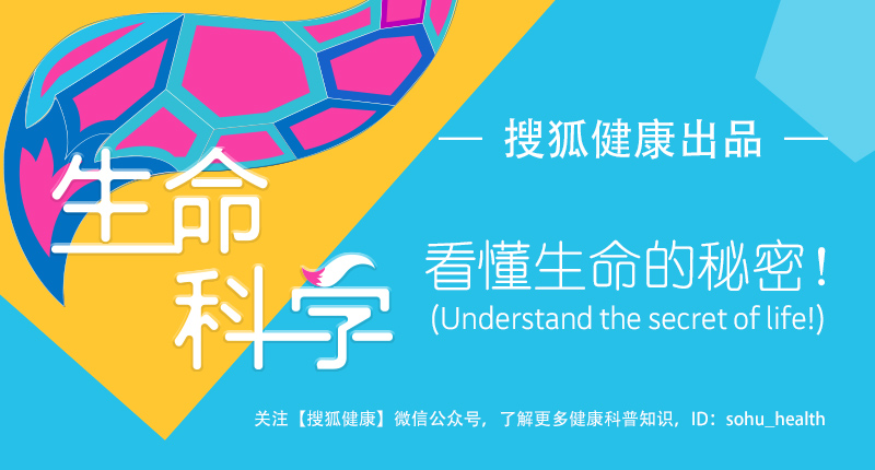 游泳后为什么会全身起皮疹、还发痒?