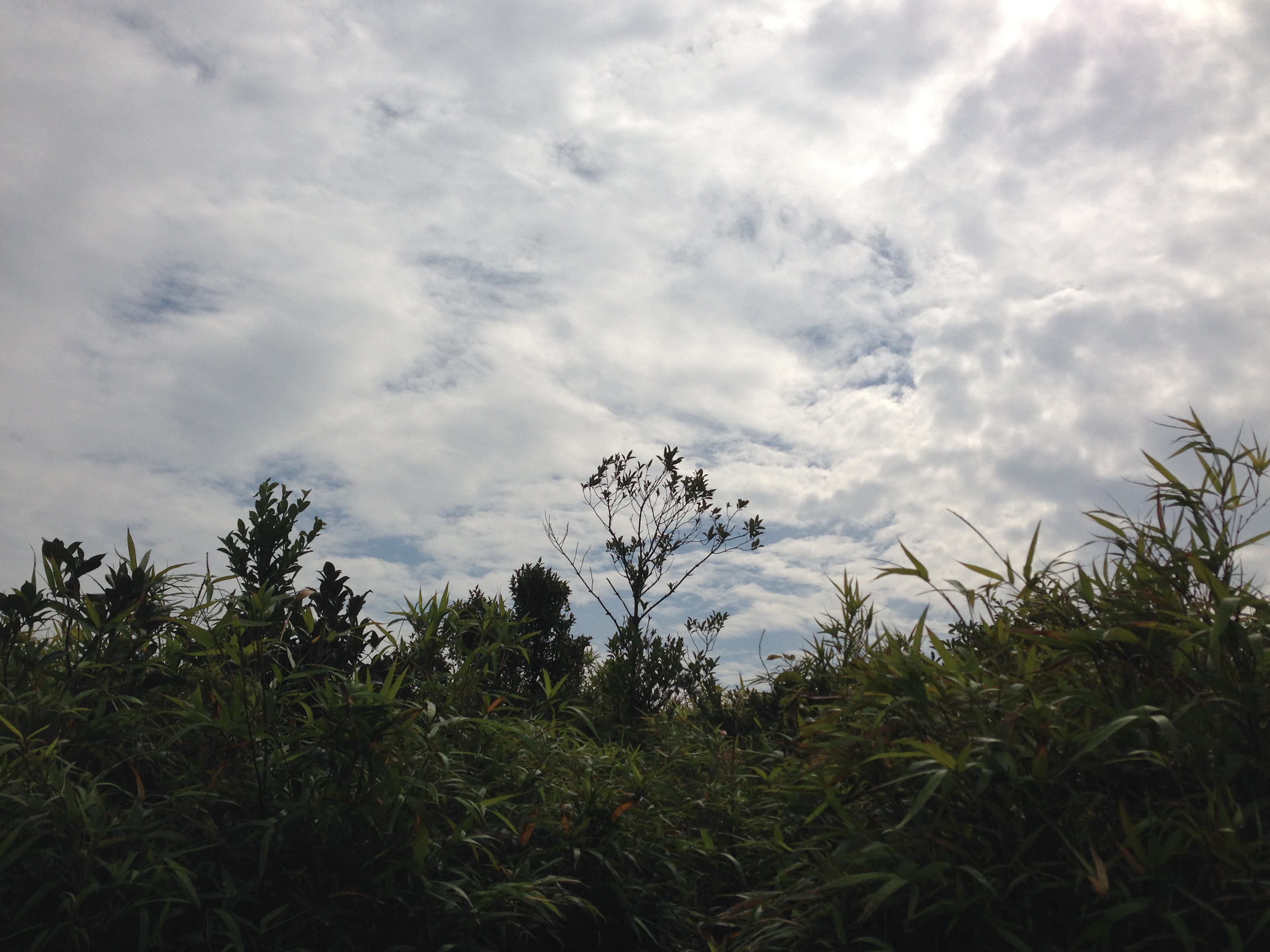 你眼中的珠海是什么样,外国眼中的珠海