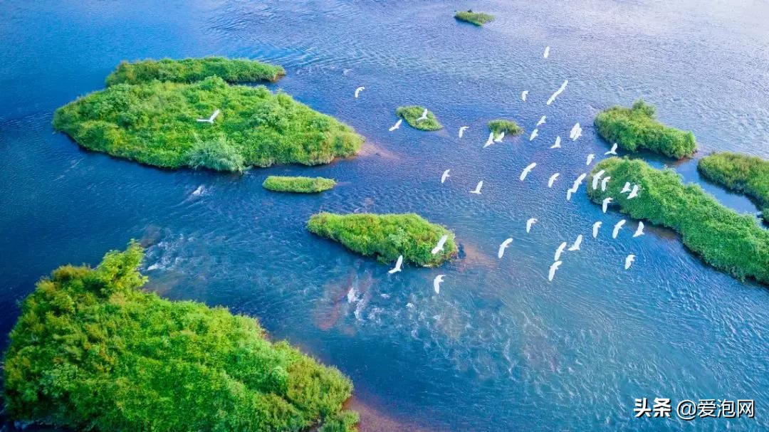 南方最适合自驾游的地方美爆了,江南十大最美自驾游路线