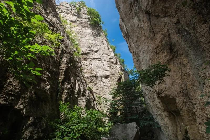 抱犊寨高考生优惠,中考生免费福利