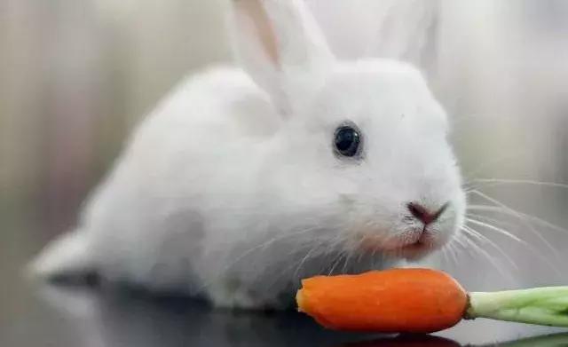 中秋节可怕的传说,诡异嫦娥奔月真人版恐怖故事