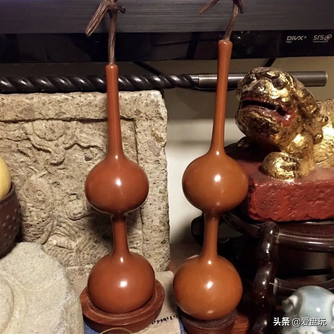 一把葫芦卖到上千上万，连种子都“千金难求”