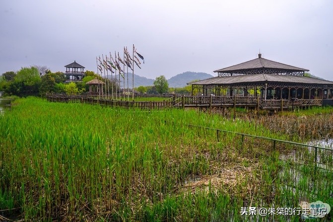 江南最大湿地风景区，不是西溪湿地，荣获中国最美湿地却少有人知