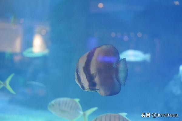 亚龙湾最值得一家人住的酒店,亚龙湾各酒店对比