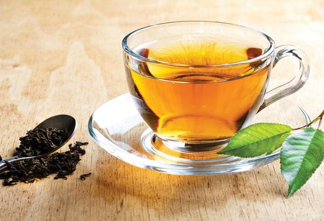 南洋迪克工厂行,南洋迪克第九季工厂行火热进行中