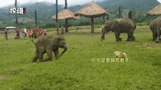 他们被杀之后，依然在爱你