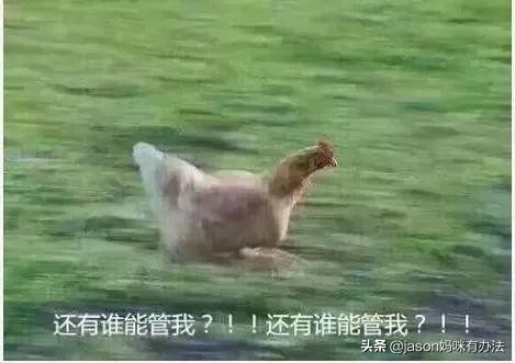 家长挥泪晒数万元暑期账单,家长晒账单