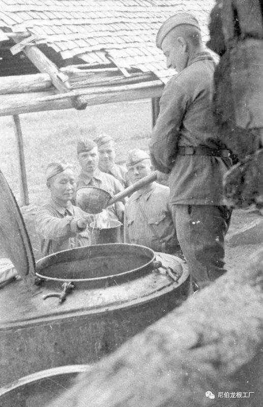 灰色牲口投食器：苏俄牵引式*战野**厨房小史