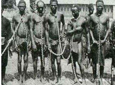 女黑奴为繁殖工具，生完10个能实现自由，一生只做两件羞辱事苟活