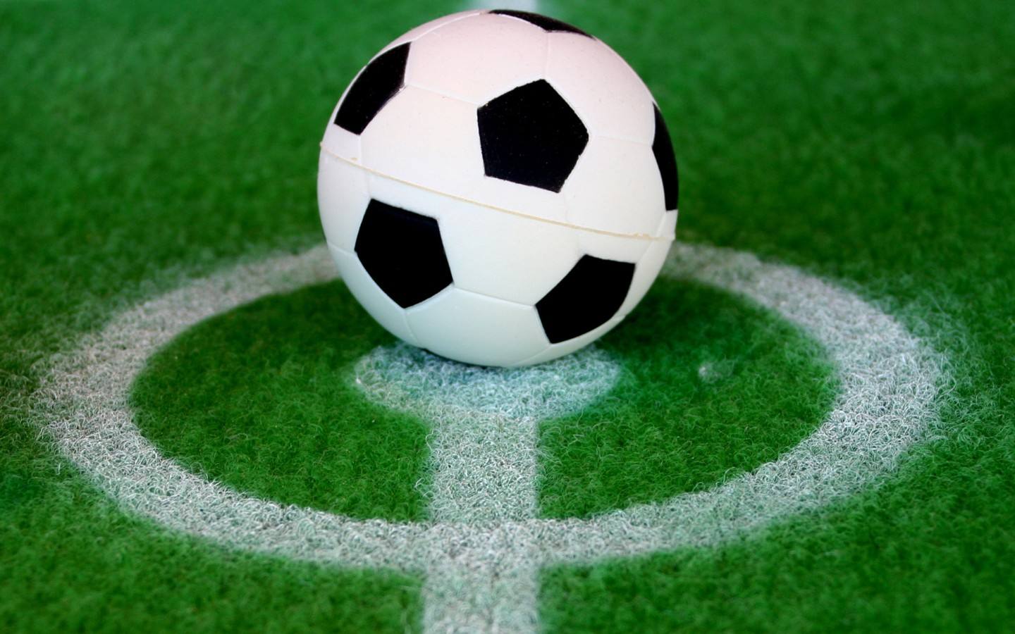 武汉将建6万座专业足球场,武汉即将开工的球场