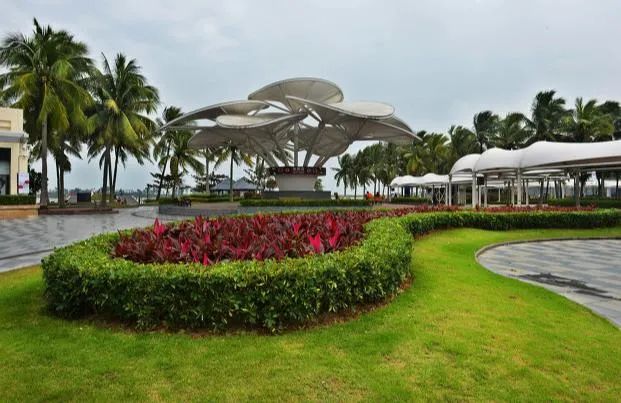 高温下的阳光沙滩海浪,为什么现在不出国也能买免税产品