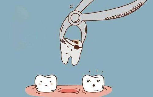 不用看牙医自己在家矫正牙齿,不用去牙科诊所自己在家能补吗