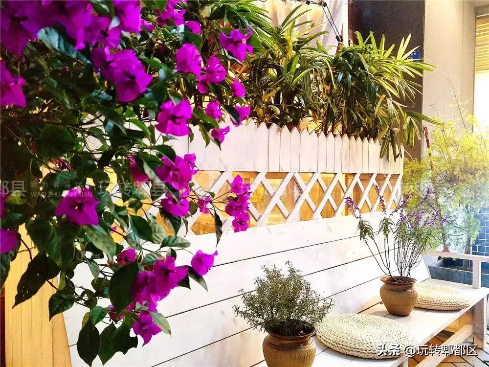 暹香泰茶和素匠泰茶,暹香泰茶好不好