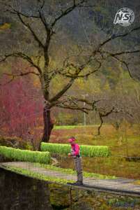 游钓篇｜渔在熊猫故里