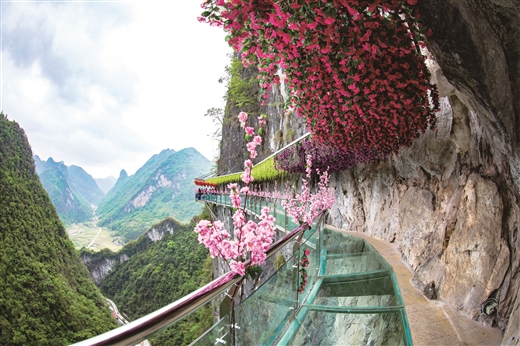 克难攻坚步铿锵老区河池焕新颜