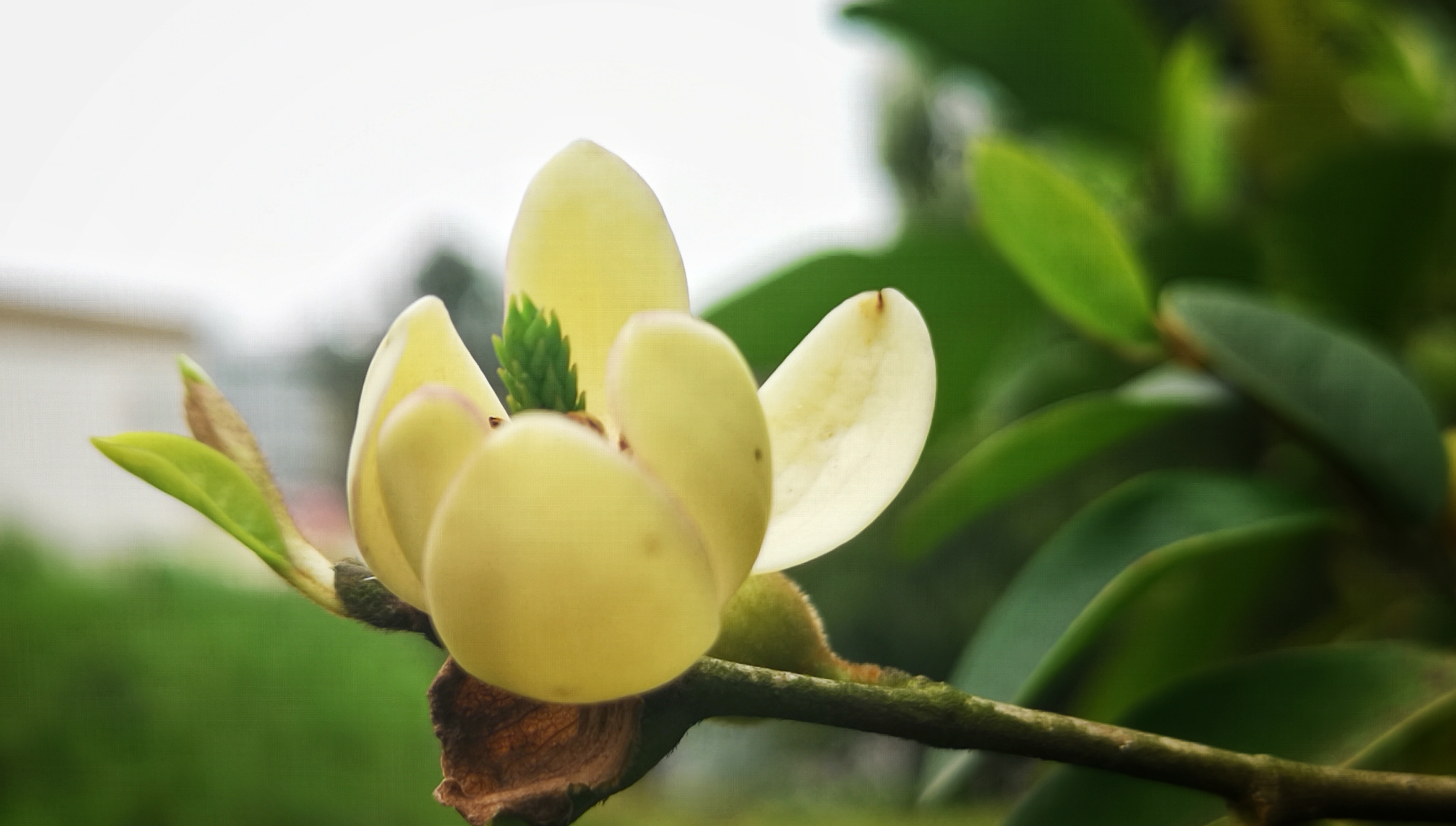 寻找身边的美丽身影,寻找身边美丽景色