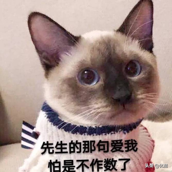 这就是街舞2最新剧透十强选手 (这就是街舞2各位队长各显神通)