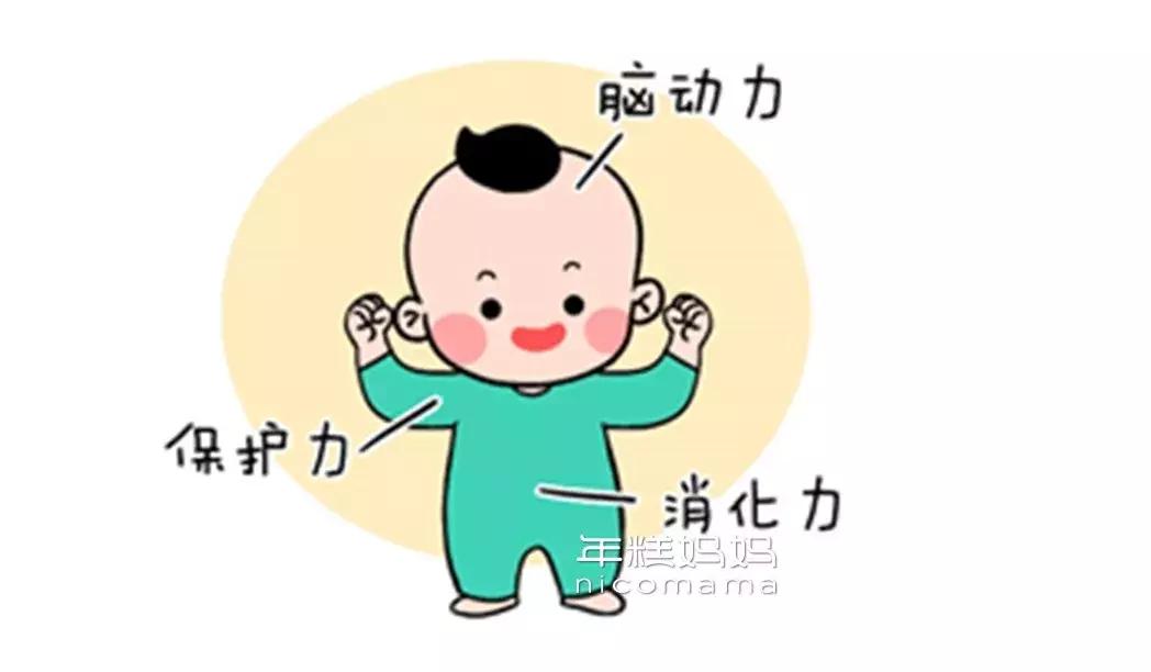 奶粉中促进消化吸收的成分是什么,配方奶粉里面有什么成分才是好的